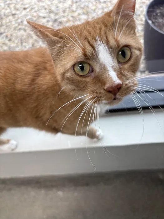 Taconic Veterinary Center 3