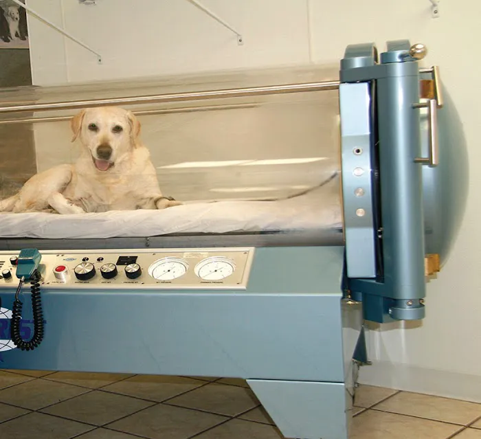 Taconic Veterinary Center 8
