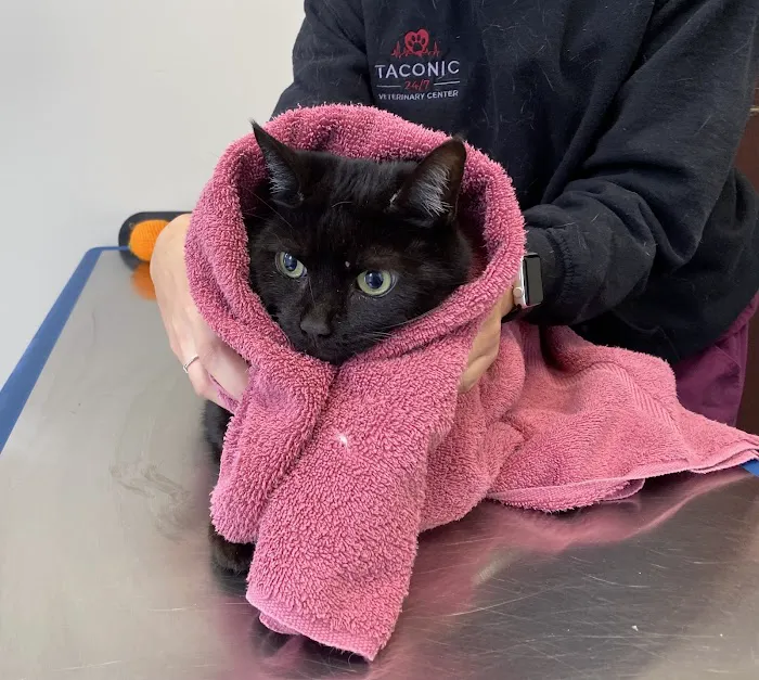 Taconic Veterinary Center 1