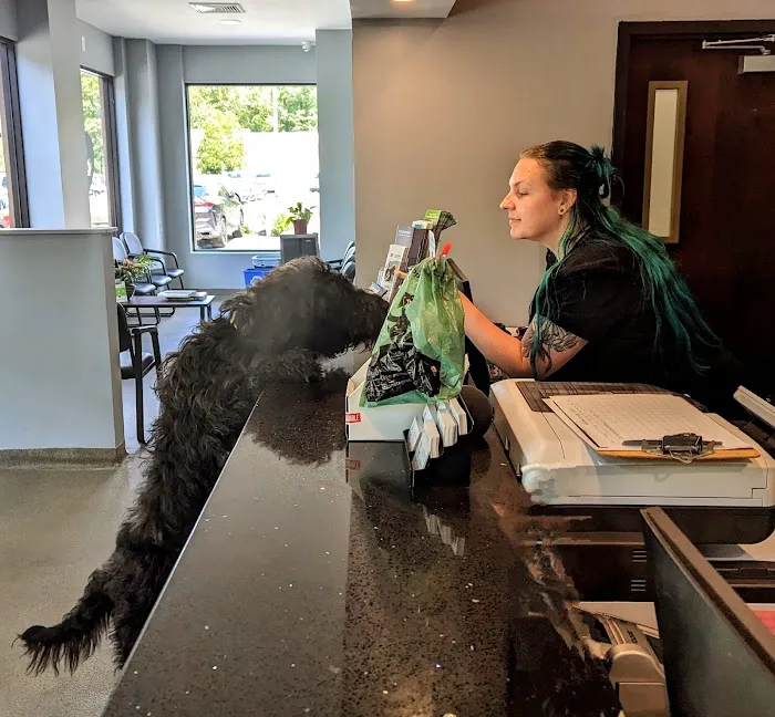 Taconic Veterinary Center 9