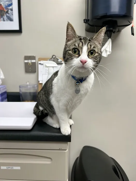 Taconic Veterinary Center 4