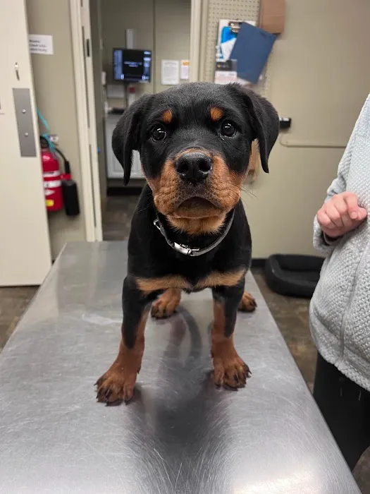Middlehope Veterinary Hospital 7