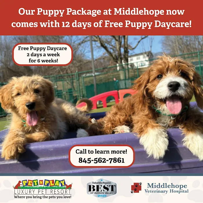 Middlehope Veterinary Hospital 9