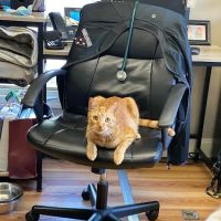 Middlehope Veterinary Hospital ico