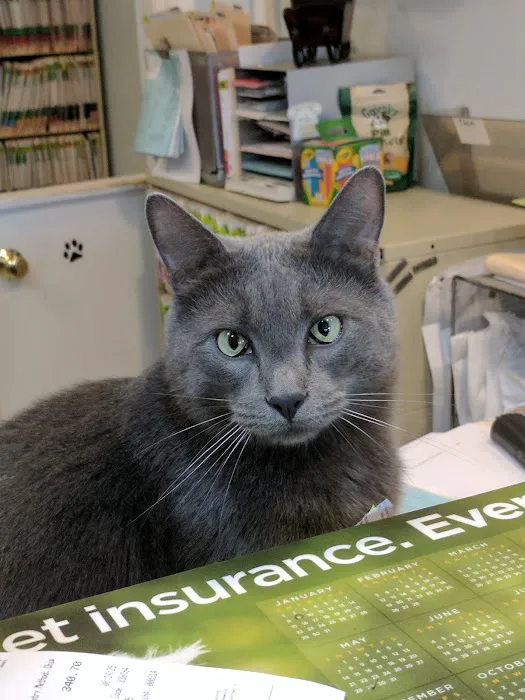 Walden Animal Clinic 6