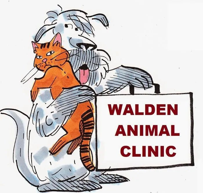 Walden Animal Clinic: Stephen Kelly DVM 1