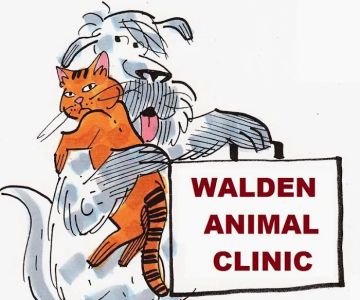 Walden Animal Clinic: Stephen Kelly DVM