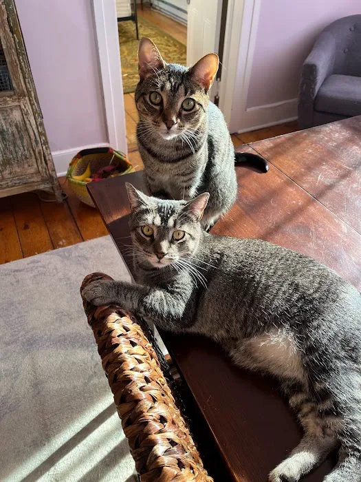 Hudson Highlands Veterinary Medical Group - Hopewell Junction 3