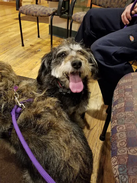 Hudson Highlands Veterinary Medical Group - Hopewell Junction 5
