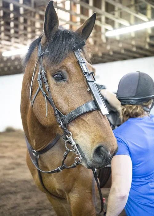 Pine Bush Equine Services and Veterinary Hospital 1