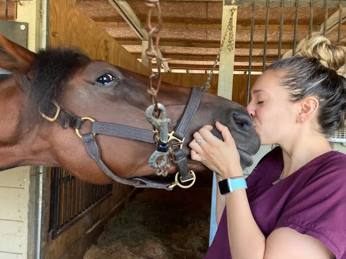 Pine Bush Equine Services and Veterinary Hospital 5