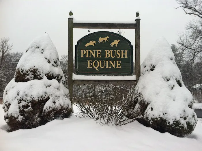 Pine Bush Equine Services and Veterinary Hospital 2