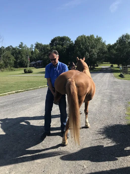 Pine Bush Equine Services and Veterinary Hospital 7