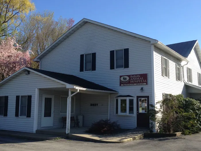 Bullville Animal Hospital 4