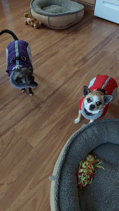 VCA Pine Bush Animal Hospital 2