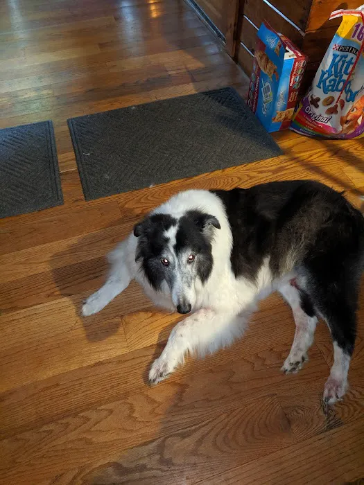 VCA Pine Bush Animal Hospital 4