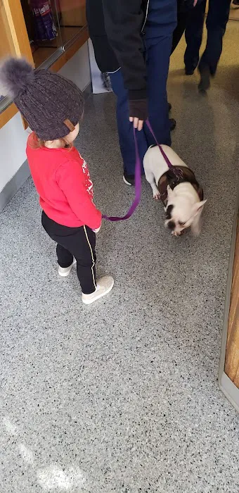 VCA Pine Bush Animal Hospital 6