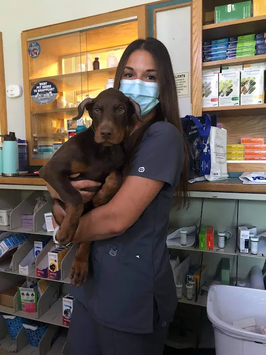 VCA Pine Bush Animal Hospital 9