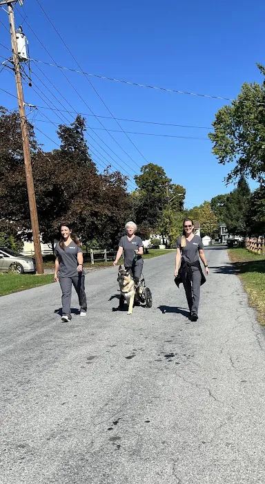 VCA Pine Bush Animal Hospital 8