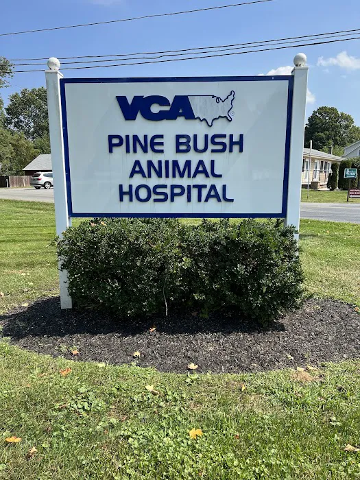 VCA Pine Bush Animal Hospital 3