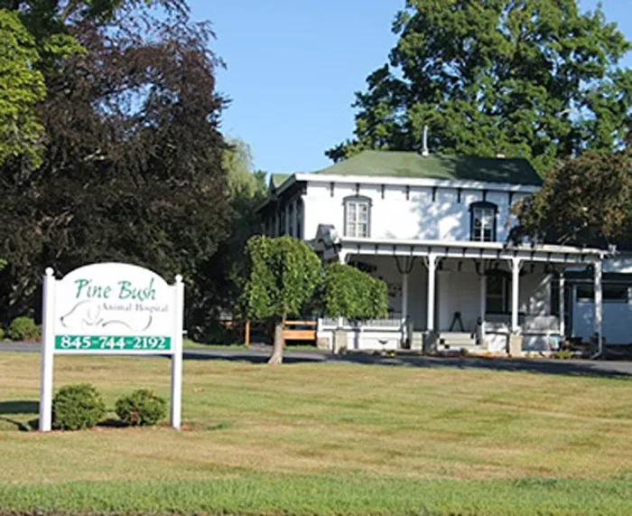 VCA Pine Bush Animal Hospital 10