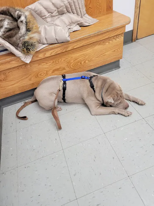 Wurtsboro Veterinary Clinic 2