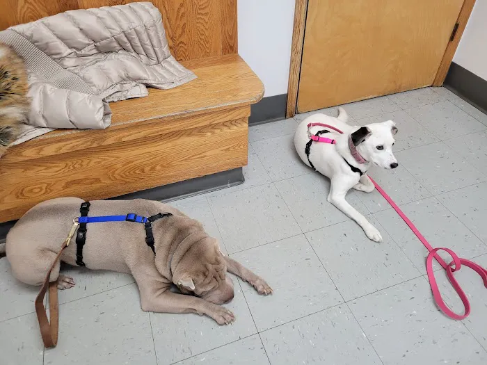 Wurtsboro Veterinary Clinic 1