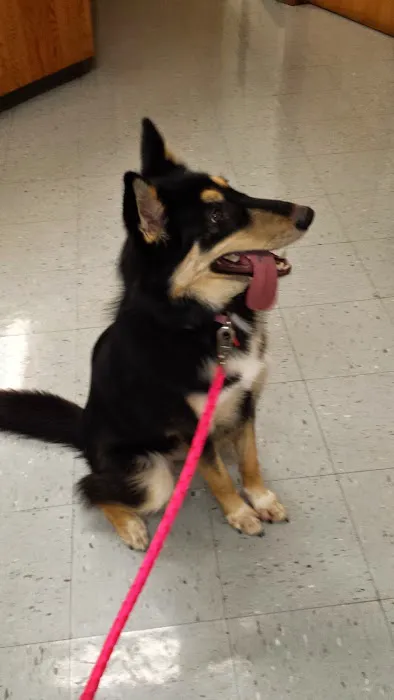 Wurtsboro Veterinary Clinic 6