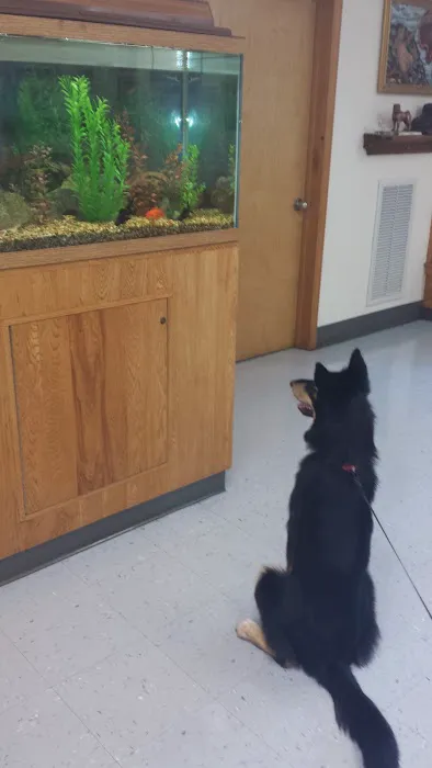 Wurtsboro Veterinary Clinic 9