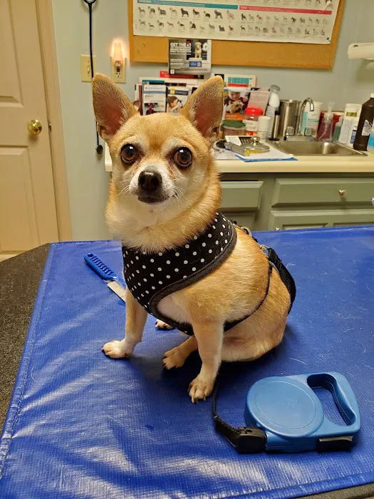 Wallenpaupack Veterinary Clinic 10