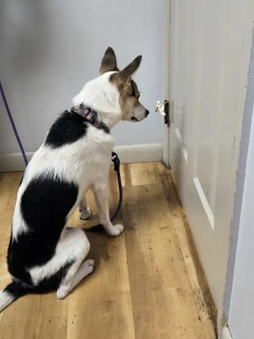Wallenpaupack Veterinary Clinic 6