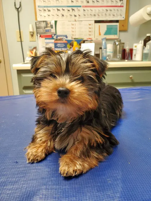 Wallenpaupack Veterinary Clinic 9