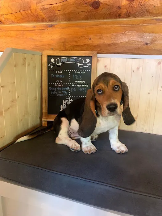 Narrowsburg Veterinary 8