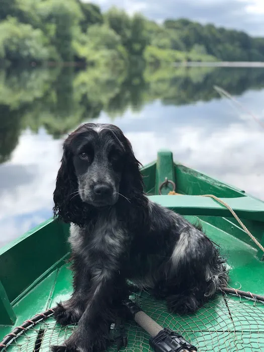 Narrowsburg Veterinary 4