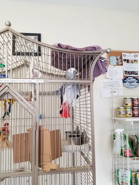 Animal Hospital of White Plains 2