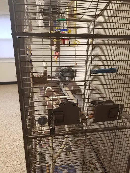 Animal Hospital of White Plains 3