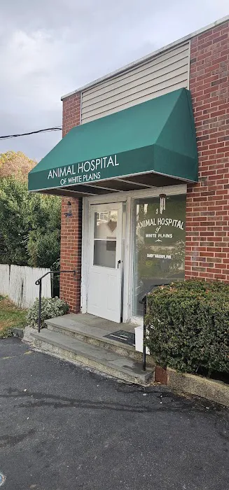 Animal Hospital of White Plains 9