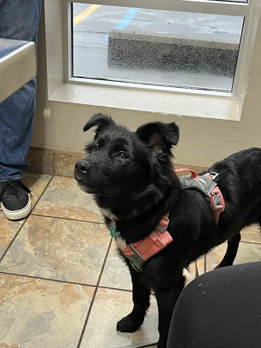A-Quality Care Veterinary Hospital 10