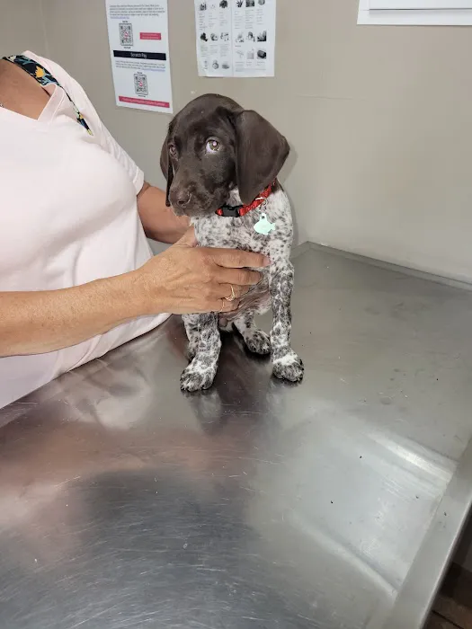 A-Quality Care Veterinary Hospital 8