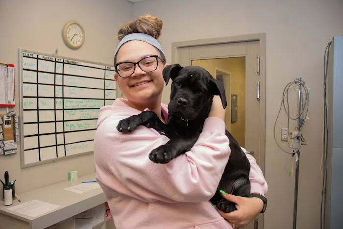 Westland Veterinary Hospital 4