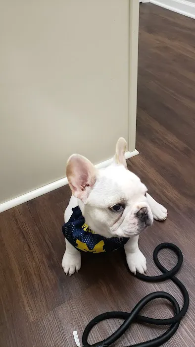 Westland Veterinary Hospital 3