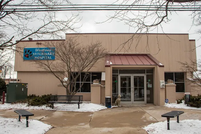 Westland Veterinary Hospital 7