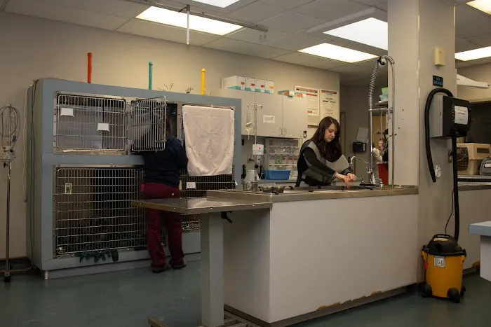 Westland Veterinary Hospital 9