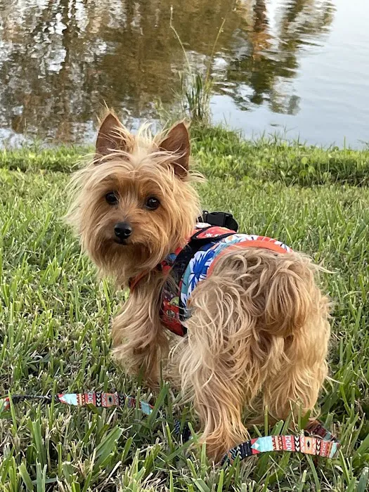 VetSelect Animal Hospital of Dearborn 3