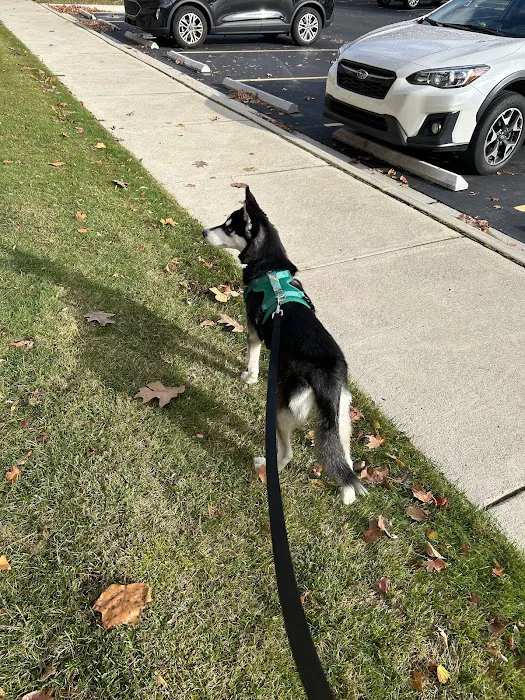 VetSelect Animal Hospital of Dearborn 7