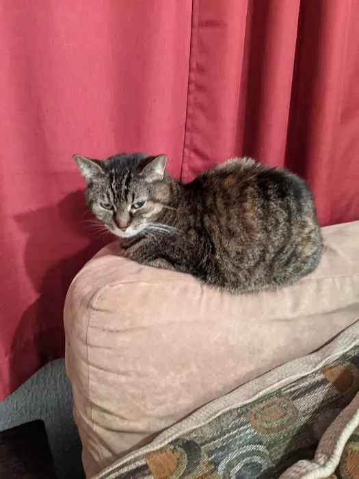 VetSelect Animal Hospital of Dearborn 5