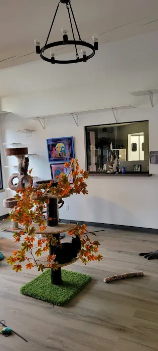 Comfort's Place 1