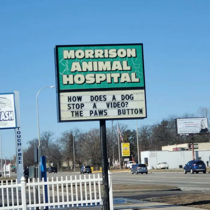 Morrison Animal Hospital: Smyth-Arkens Michele DVM 4