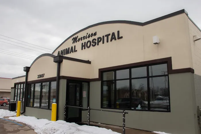 Morrison Animal Hospital 3