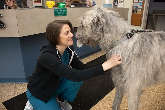 Morrison Animal Hospital 1